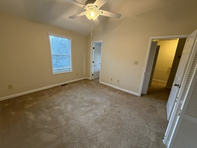 Gallery Photo 16